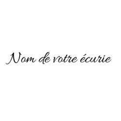 Nom de votre écurie