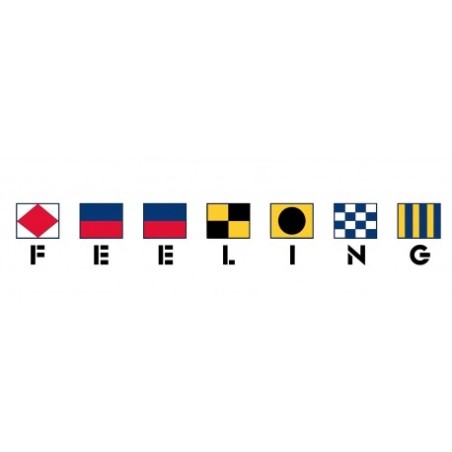 FEELING 32 avec drapeaux