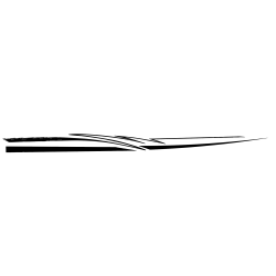 Deco racing pour bateau