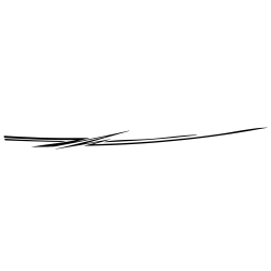 Deco racing pour bateau