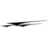 Deco racing pour bateau