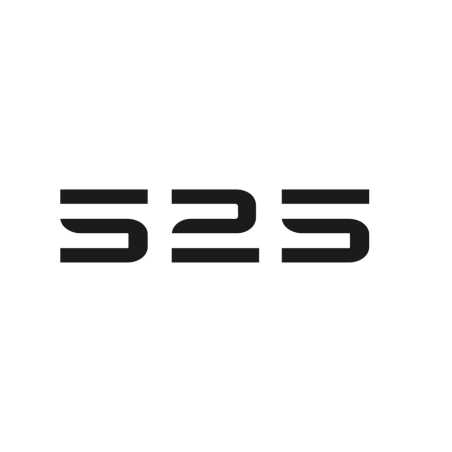 Sealver 525 Wave Boat
