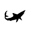Mako requin