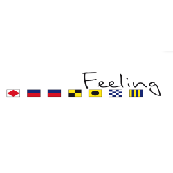 logo feeling 36 et Feeling 39 drapeaux seuls