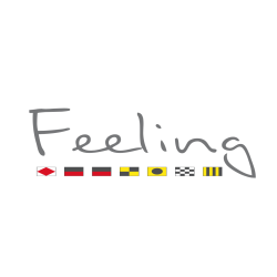 logo feeling 36 et Feeling 39 drapeaux seuls