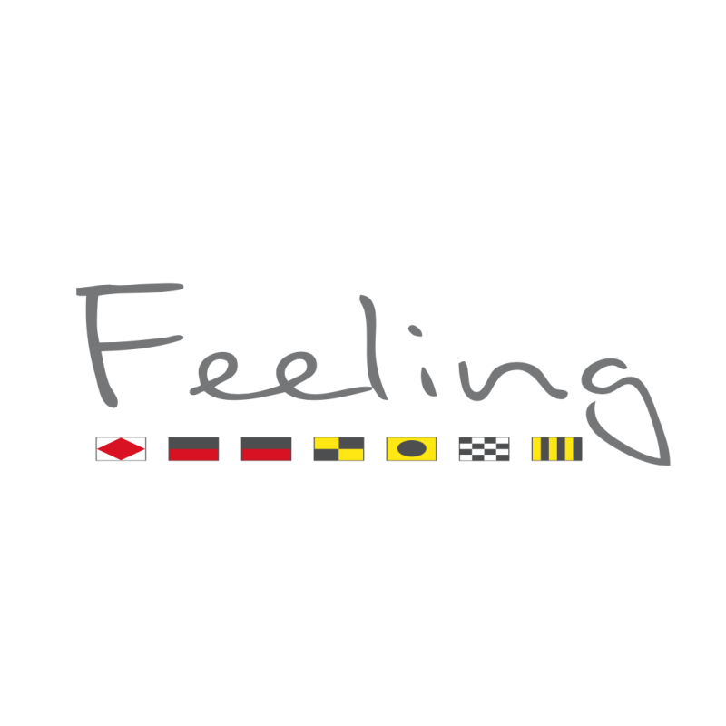 logo feeling 36 et Feeling 39 drapeaux seuls logo feeling 36 et Feeling 39 drapeaux seuls