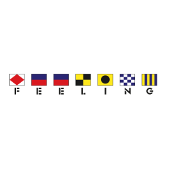 Logo FEELING avec les drapeaux.