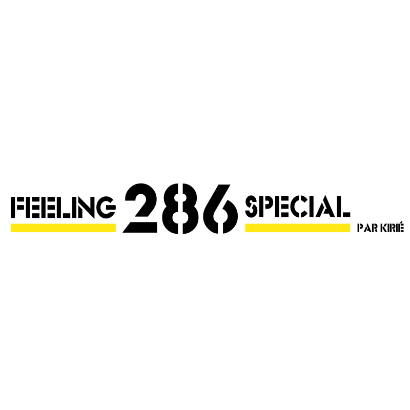 logo feeling 36 et Feeling 39 drapeaux seuls logo feeling 36 et Feeling 39 drapeaux seuls