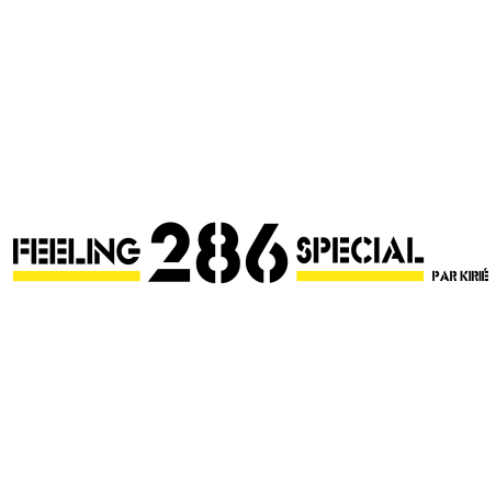 logo feeling 36 et Feeling 39 drapeaux seuls