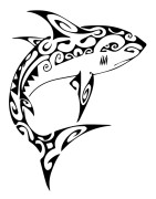 Thème animaux marins