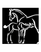 Métiers du Cheval