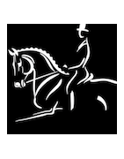 Dressage